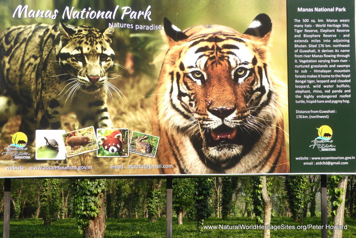 Manas Wildlife Sanctuary Natural World Heritage Sites