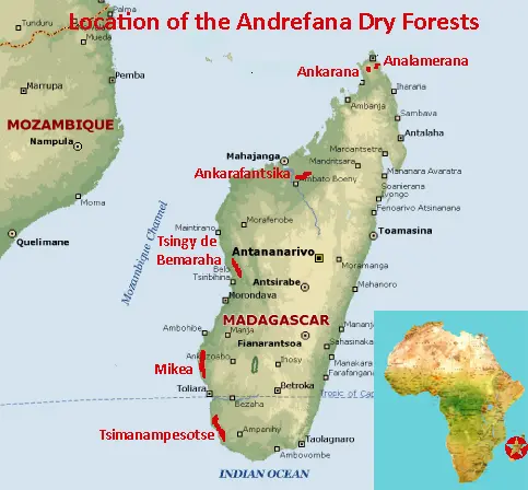 Map showing the location of the Andrefana Dry Forests