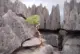 Limestone ‘needles’ in the ‘Stone Forest’ of the Tsingy de Bemaraha component of the Andrefana Dry Forests UNESCO world heritage site in Madagascar
