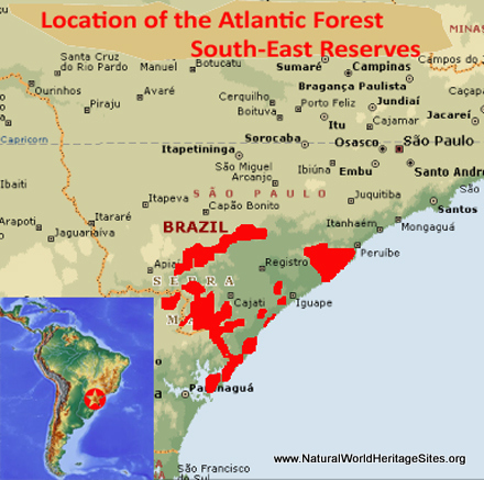 https://www.naturalworldheritagesites.org/wp-content/uploads/2017/06/Atlantic-Forest-South-East-Reserves-Brazil-Location-Map.jpg