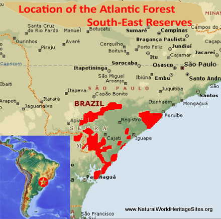 Atlantic Forest South-East Reserves