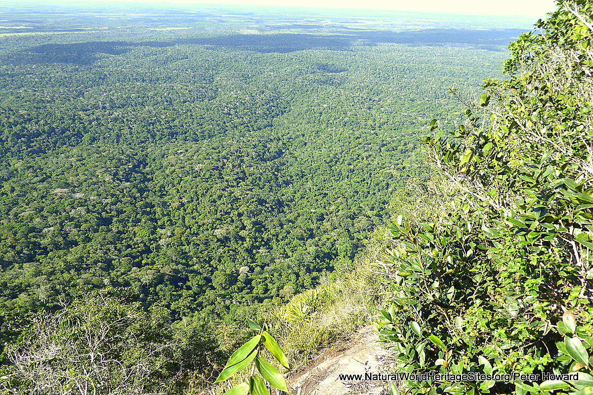 Brazil's Atlantic Forest six years on 