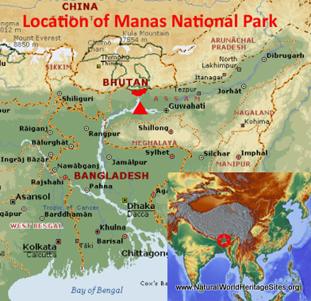Manas Wildlife Sanctuary | Natural World Heritage Sites
