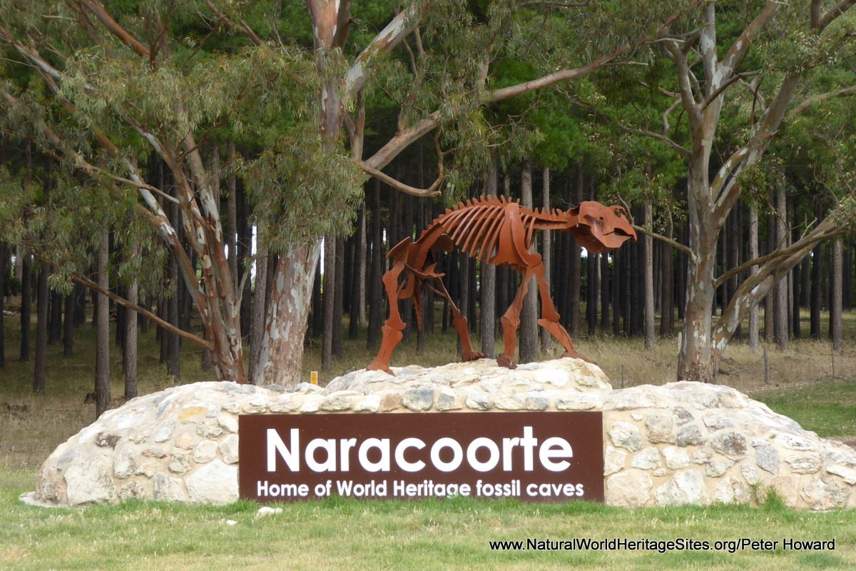 Australian Fossil Mammal Sites (Riversleigh/Naracoorte) Natural World