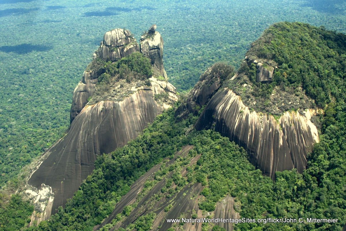 Central Suriname Nature Reserve | Natural World Heritage Sites