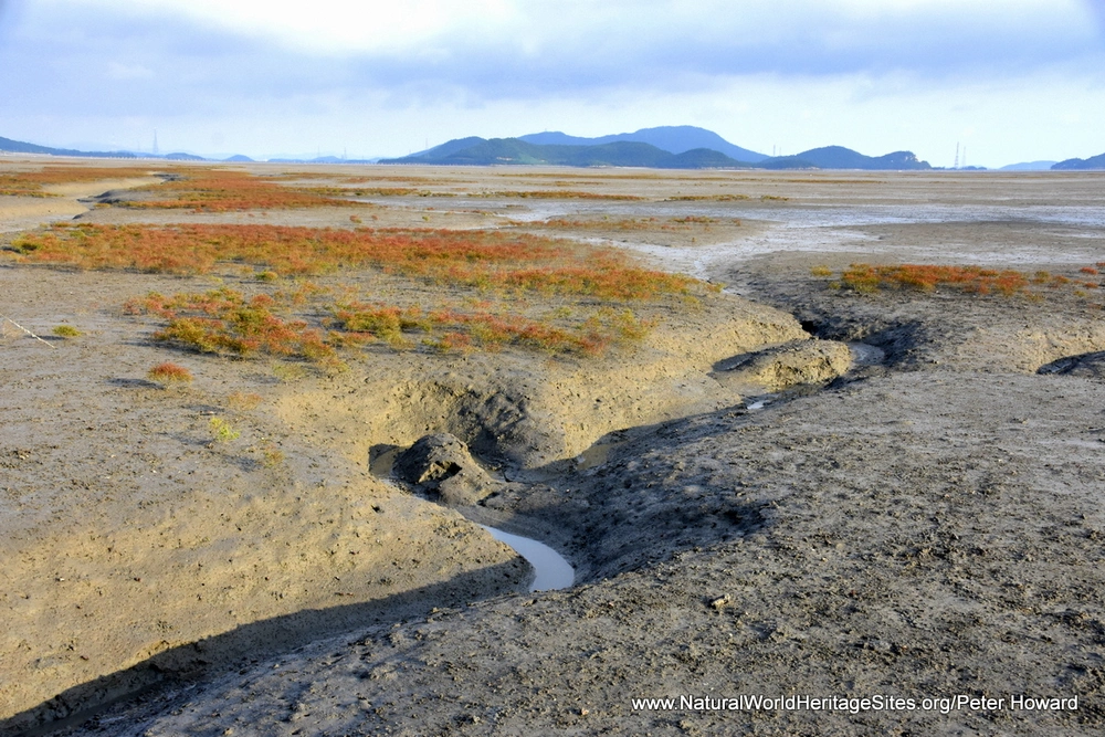 A typical area of mud flats in the Getbol, Korean Tidal Flats UNESCO world heritage site in the Republic of Korea