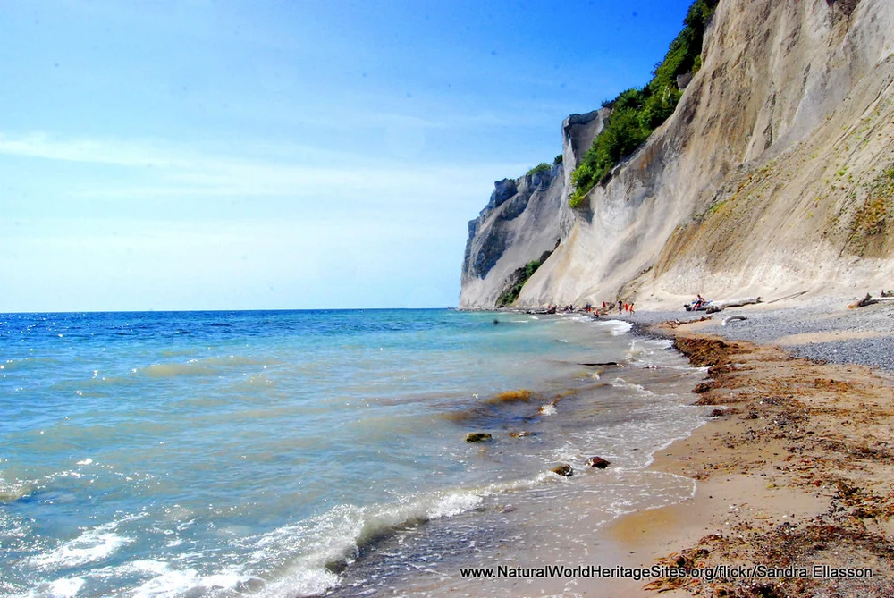 Exposed cliffs at Møns Klint UNESCO world heritage site in Denmark Exposed cliffs at Møns Klint UNESCO world heritage site in Denmark