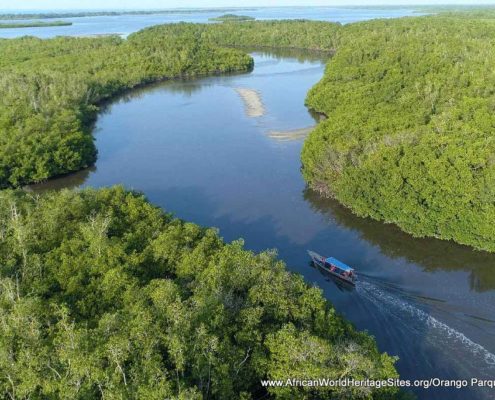 Mangrove swamps in the coastal areas of the Bijagós Archipelago UNESCO world heritage site in Guinea-Bissau, West Africa