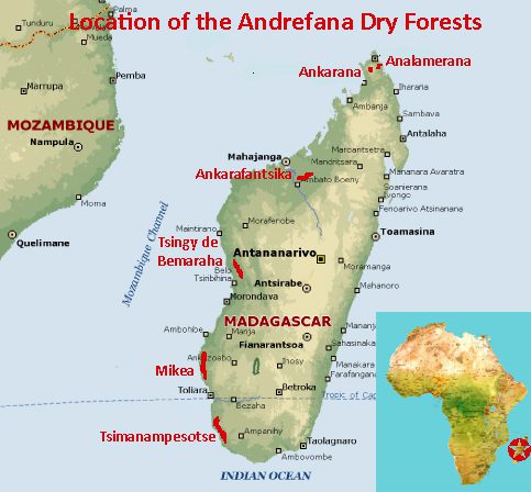 Map showing the location of the Andrefana Dry Forests and Tsingy de Bemaraha UNESCO world heritage site in Madagascar