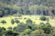 A forest clearing in the Kaeng Krachan Forest Complex UNESCO world heritage site in Thailand