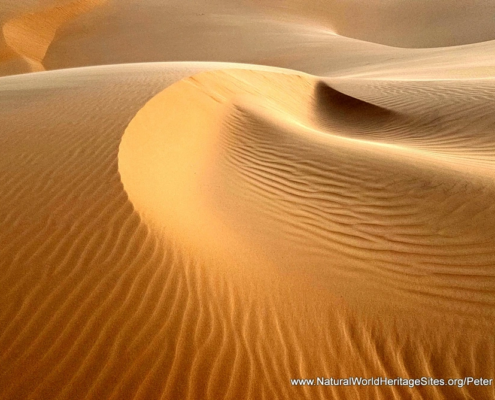 Spectacular dune formations in the ‘Uruq Bani Ma’arid UNESCO world heritage site in Saudi Arabia