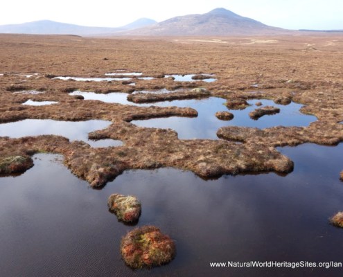 Typical blanket bog landscape in The Flow Country UNESCO world heritage site in Scotland, United Kingdom