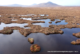 Typical blanket bog landscape in The Flow Country UNESCO world heritage site in Scotland, United Kingdom
