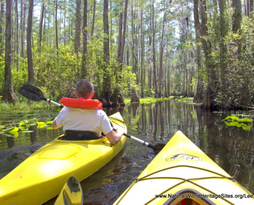 Okefenokee National Wildlife Refuge UNESCO Natural World Heritage Site