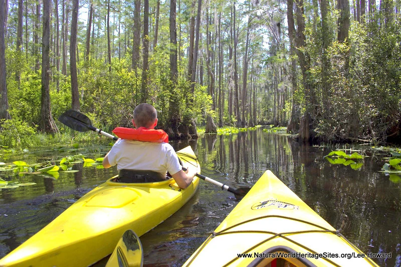 Okefenokee-National-Wildlife-Refuge-UNESCO-Natural-World-Heritage-Site Okefenokee National Wildlife Refuge UNESCO Natural World Heritage Site